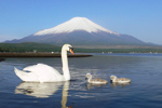 Yamanakako Tourist Association