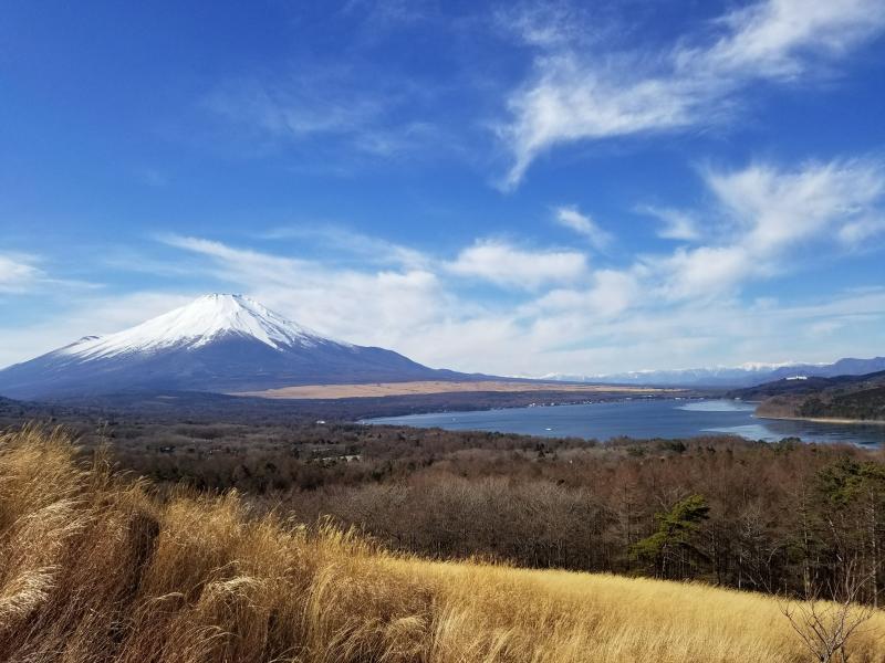 パノラマ台から山中湖と富士山を望む。遠くには南アルプスも見えます